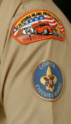 Left Sleeve of Troop Scout Uniform Detail