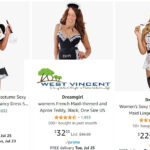French Maid Uniform Purchase Raises Eyebrows at West Vincent Township Meeting