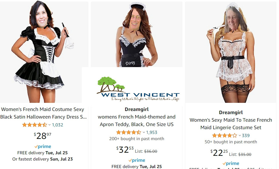 French Maid Uniform Purchase Raises Eyebrows at West Vincent Township Meeting