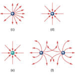 Electric Field Lines