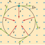 Illustration of a negatively charged particle moving in a uniform magnetic field.