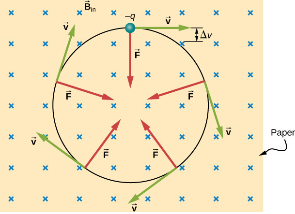 Illustration of a negatively charged particle moving in a uniform magnetic field.