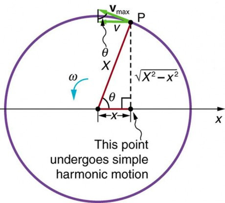 Shadow of a rotating ball demonstrating simple harmonic motion
