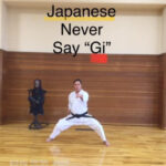 Judo Gi vs BJJ Gi